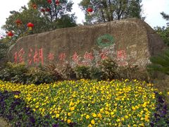 -瑶湖郊野森林公园