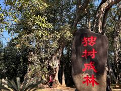 -独树成林