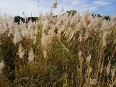 -赛汗塔拉风情园