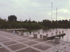 -九里湖国家湿地公园