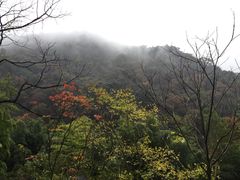 -祁门牯牛降观音堂风景区