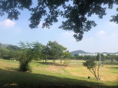 -羊山湖公园