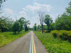 -白鹭湾湿地公园