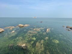 -养马岛旅游度假区