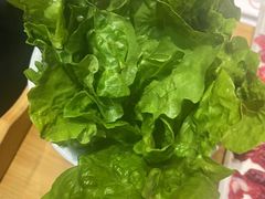 -手选潮汕鲜牛肉火锅(二七广场店)