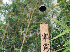 -天水蔬食料理(树德之光店)