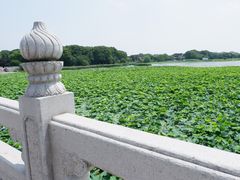 -重元寺香积厨素斋馆