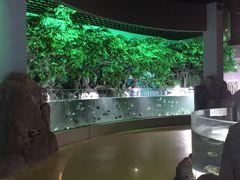 -福州罗源湾海洋世界旅游区