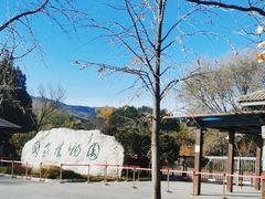 -北京植物园南门售票处