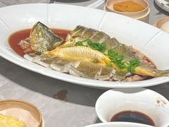 -陶兰居·香港饭店·海鲜大排档(圆融时代广场店)