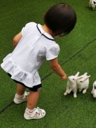 -萌宠亲子动物乐园(槐房万达店)