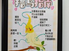 -吉丁鸟咖·异宠·寄养