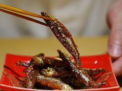 -镹·鱼料理  国产鱼使用店