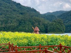 -广州市石门国家森林公园