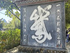 -靖西鹅泉风景区