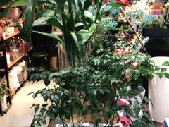 -何兮花店·气球派对鲜花店(马桥银春路万科城店)