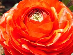 -张江润和国际总部园