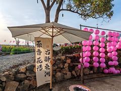 -桑洲油菜花景区