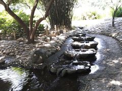 -成都市活水公园