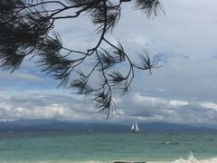 -东姑阿都拉曼海洋公园