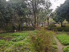 -故乡缘·香格里拉山庄(冷竹路店)