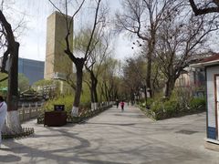 -文瀛公园