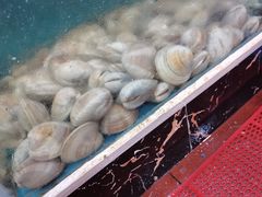 -源海渔村·现捞海鲜(大角湾店)