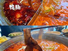 -大虎重庆老火锅(正弘城店)