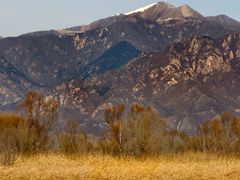 -野鸭湖国家湿地公园