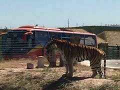 -鄂尔多斯野生动物园