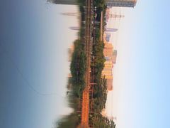 -福田红树林生态公园