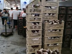 -西郊国际农产品交易中心