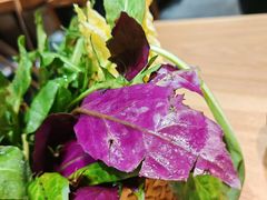 -一朵菌·野生菌探索家火锅(南亚店)