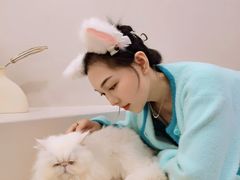 -More Fun猫咖 二十只万元加菲主题