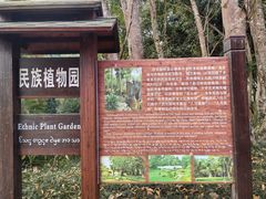 -中国科学院西双版纳热带植物园