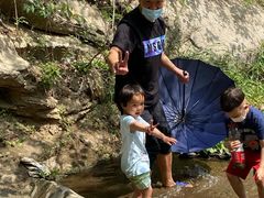 -白水寺森林公园