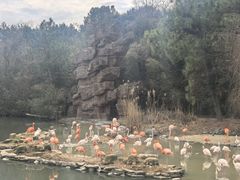 -宁波野生动物园