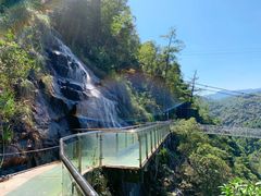 -九龙江国家森林公园