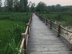 -奥林匹克森林公园南门-停车场