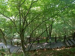 -天目湖山水园