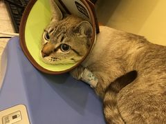 -美迦爱-牙专科·兔科·骨科诊疗中心(北苑店)
