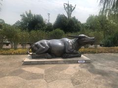 -梁鸿国家湿地公园