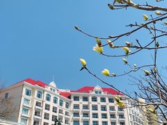 -青岛海景花园大酒店·粤海餐厅