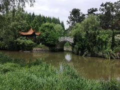 -渡海小渔村.老辈日照菜