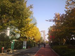 -北外滩滨江绿地