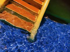 -重庆海昌加勒比海水世界