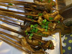 鳝鱼-晓靖轩烧烤(沙河风情店)