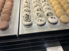-BLACKSWAN黑天鹅(环球店)