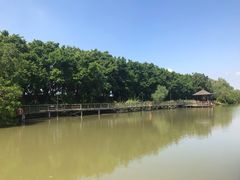 -大湾区中央湿地公园