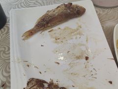 -湛江渔港·大排档(乐园路总店)